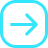 Elsavies newsletter subscribe button